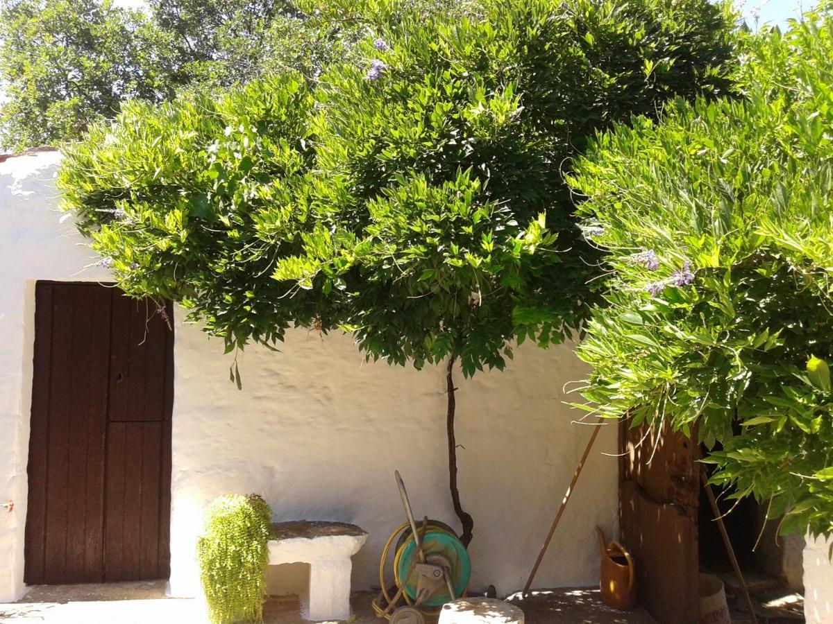 B&B Bell'Aria Monopoli Kültér fotó