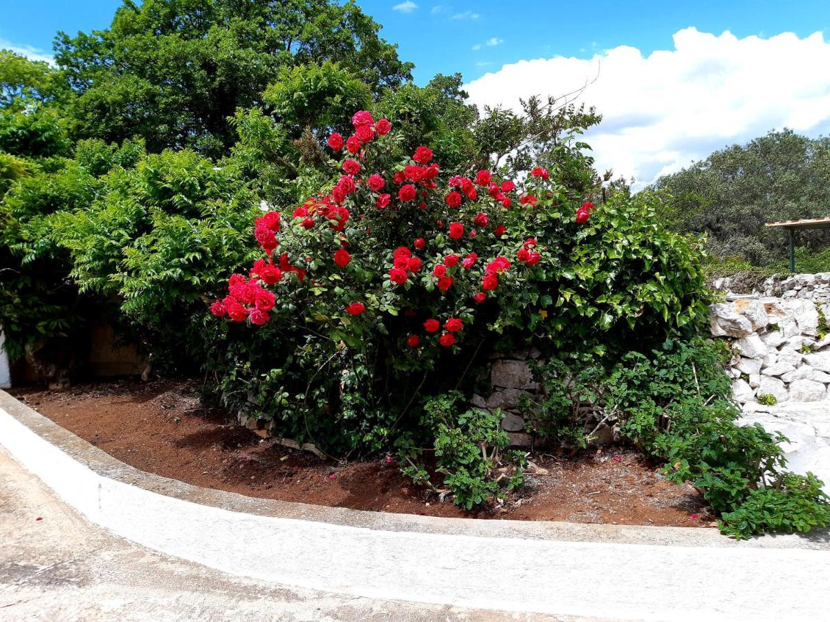 B&B Bell'Aria Monopoli Kültér fotó