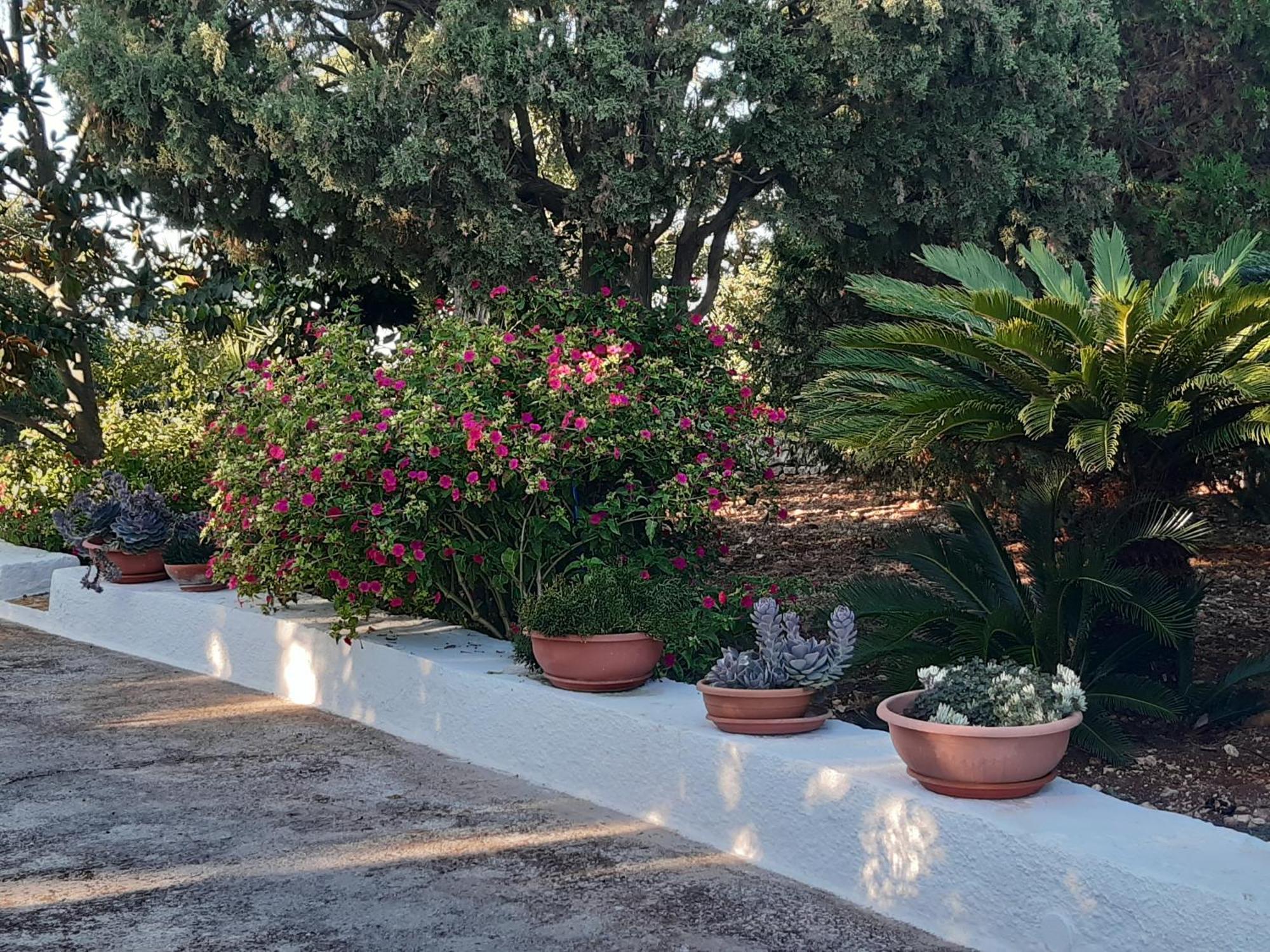B&B Bell'Aria Monopoli Kültér fotó