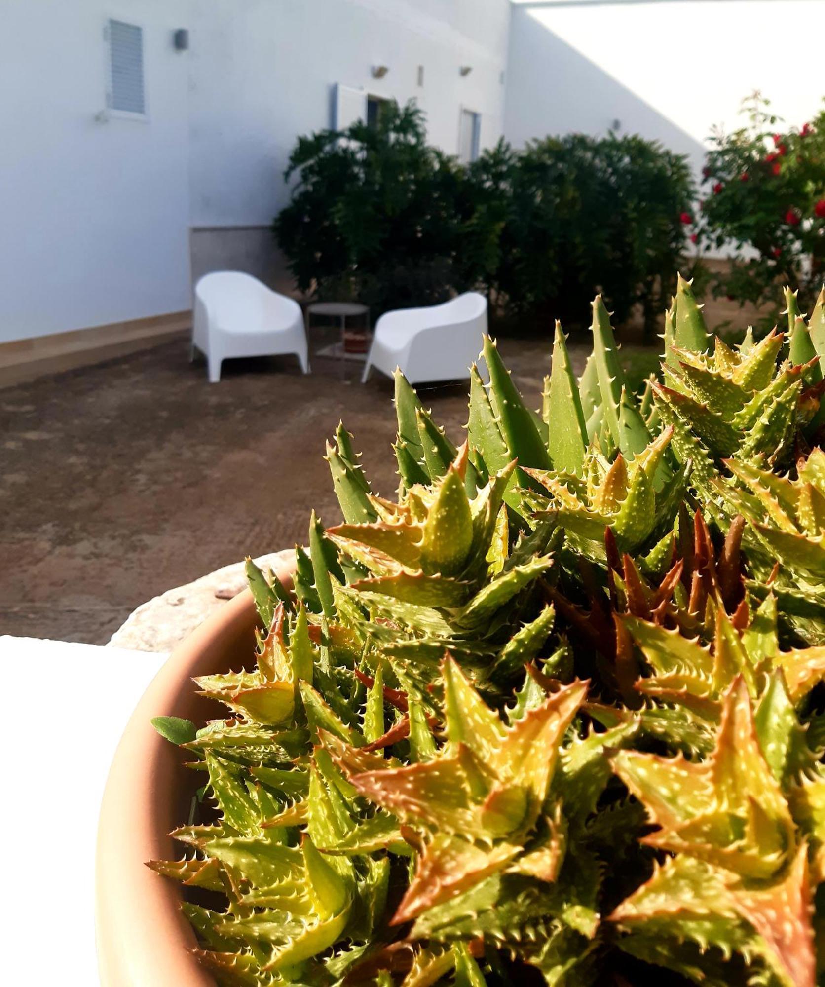 B&B Bell'Aria Monopoli Kültér fotó